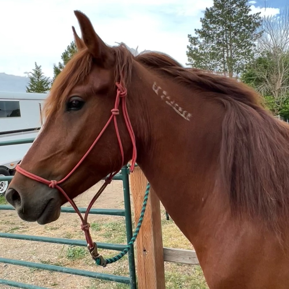 Meet your Posher, Heather